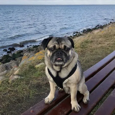 Дом отдыха Reetdachkate Wackerballig